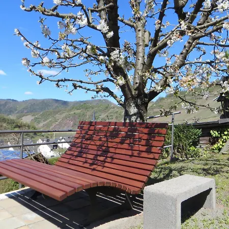 Apartment Wagner 4 Sterne Neef