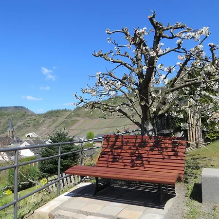 Apartment Wagner 4 Sterne *