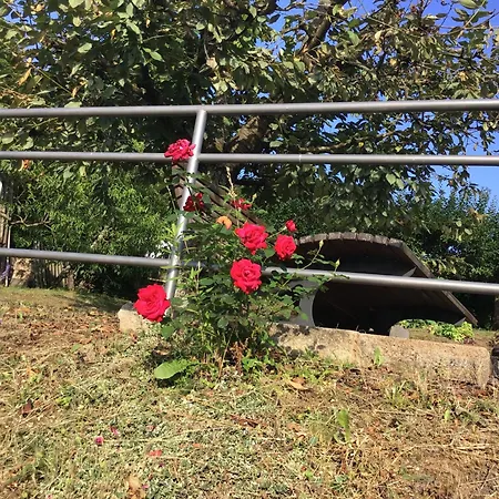 Apartment Wagner 4 Sterne *