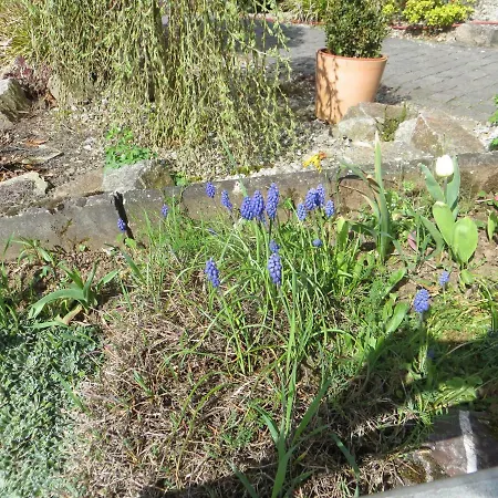 Wagner 4 Sterne Διαμέρισμα *