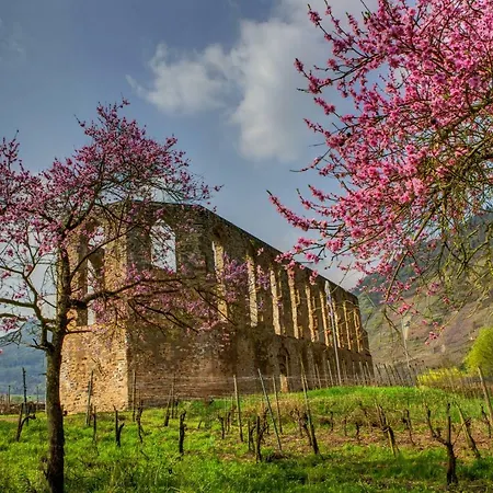 Wagner 4 Sterne Apartment Neef