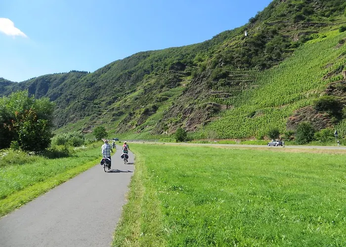 Wagner 4 Sterne Neef