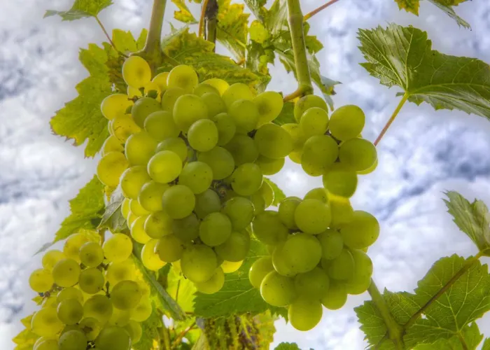 Apartamento Wagner 4 Sterne